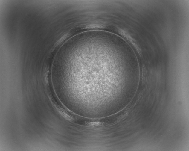 X0000056000153200508221332