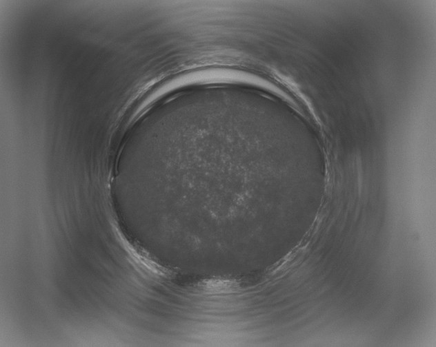 X0000056000154200508221332