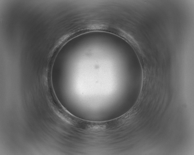 X0000056000155200508221332