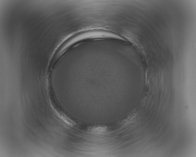 X0000056000156200508221332