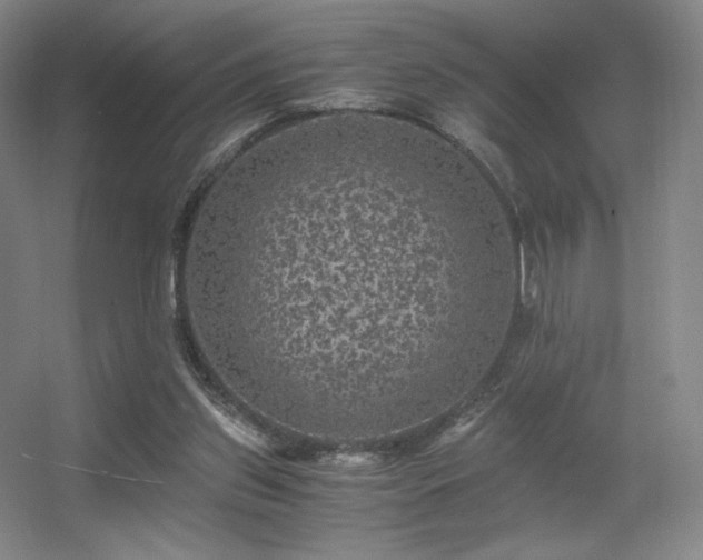 X0000056000157200508221332