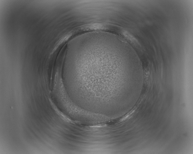 X0000056000158200508221332