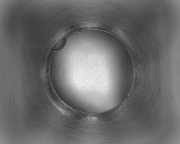 X0000056000159200508221332