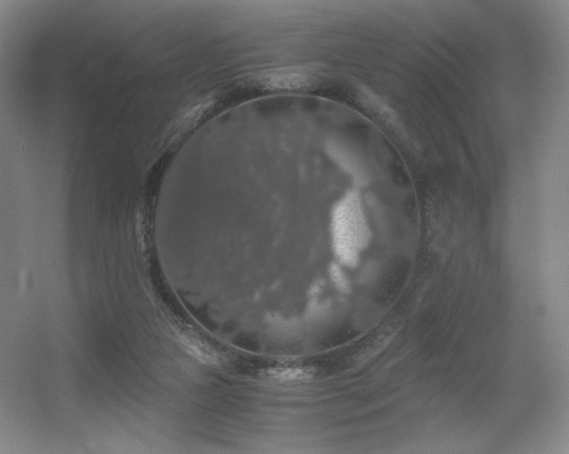 X0000056000161200508221332