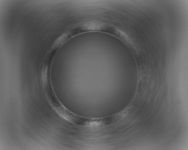 X0000056000163200508221332