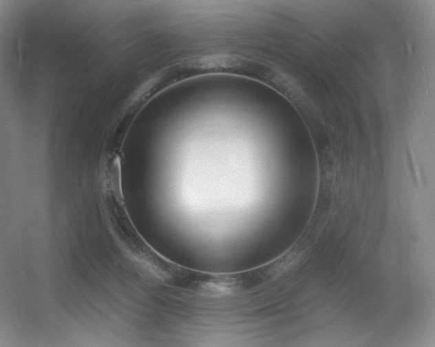 X0000056000164200508221332