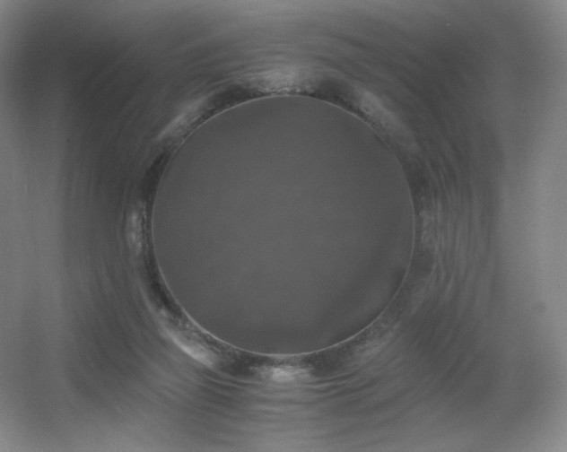 X0000056000165200508221332