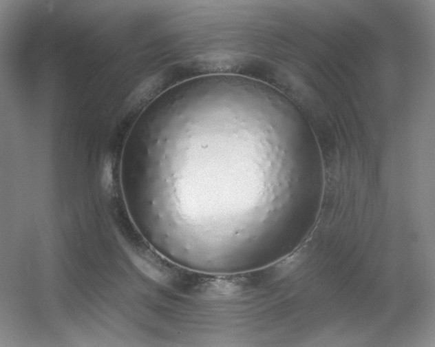 X0000056000166200508221332