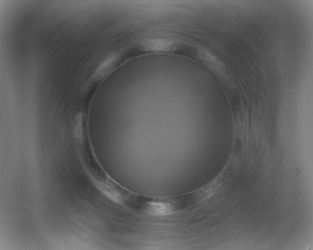 X0000056000167200508221332