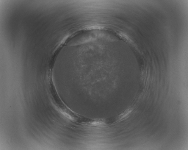 X0000056000168200508221332