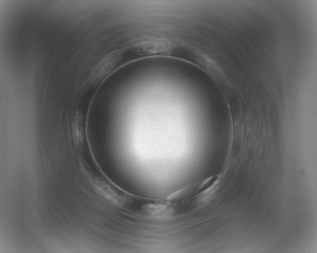 X0000056000170200508221332