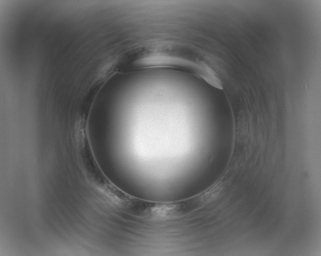 X0000056000172200508221332