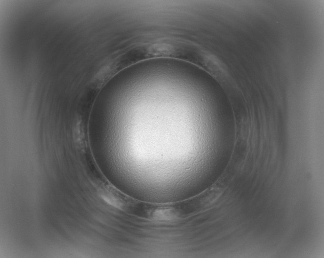 X0000056000173200508221332