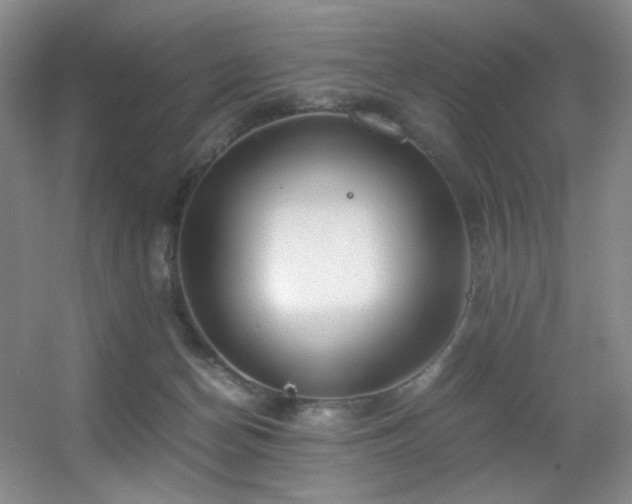 X0000056000174200508221332