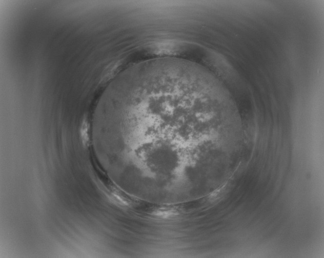 X0000056000175200508221332