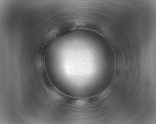 X0000056000176200508221332