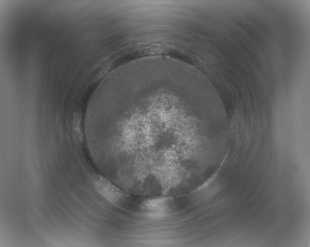 X0000056000178200508221332