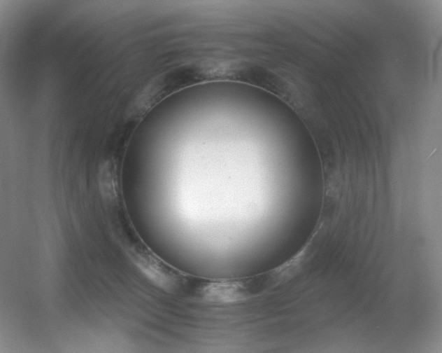 X0000056000179200508221332