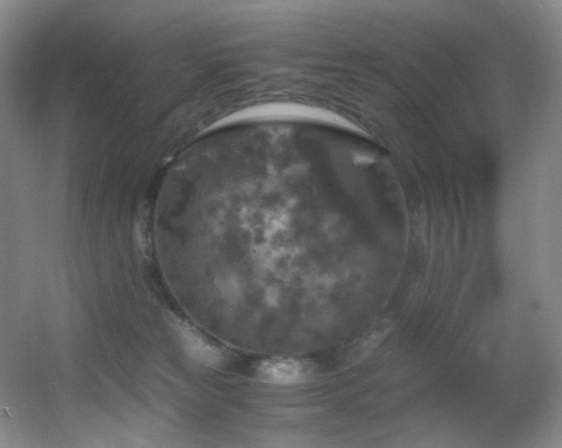 X0000056000181200508221332