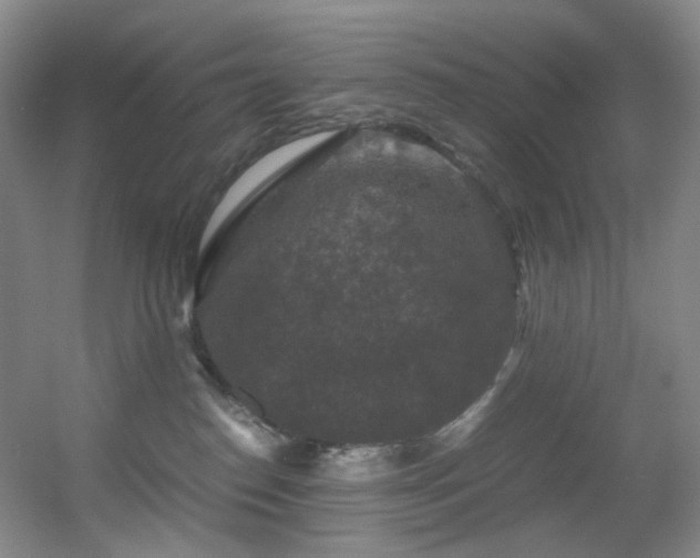 X0000056000186200508221332