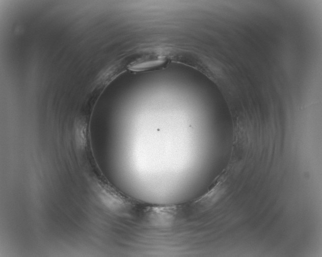 X0000056000188200508221332