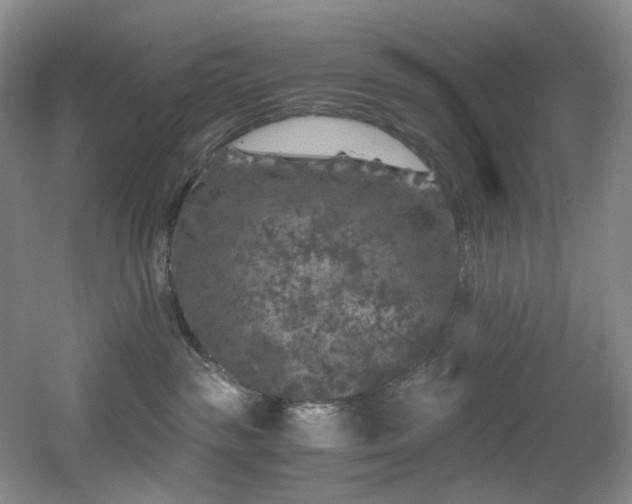 X0000056000189200508221333