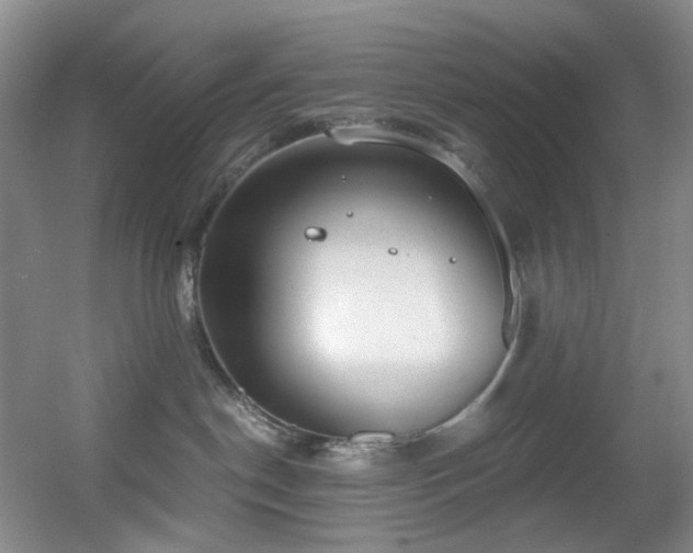 X0000056000190200508221333