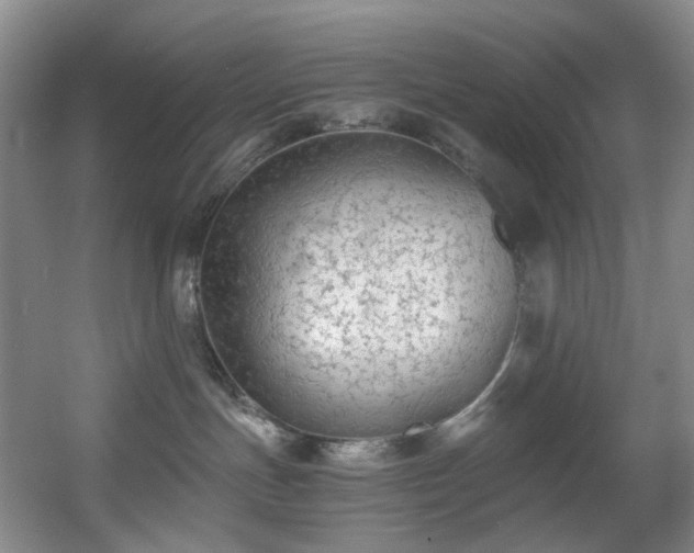 X0000056000191200508221333