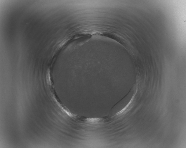 X0000056000192200508221333