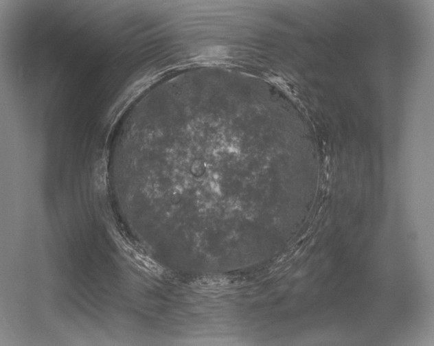 X0000056000194200508221332