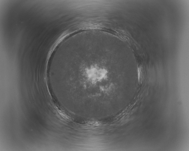 X0000056000195200508221332