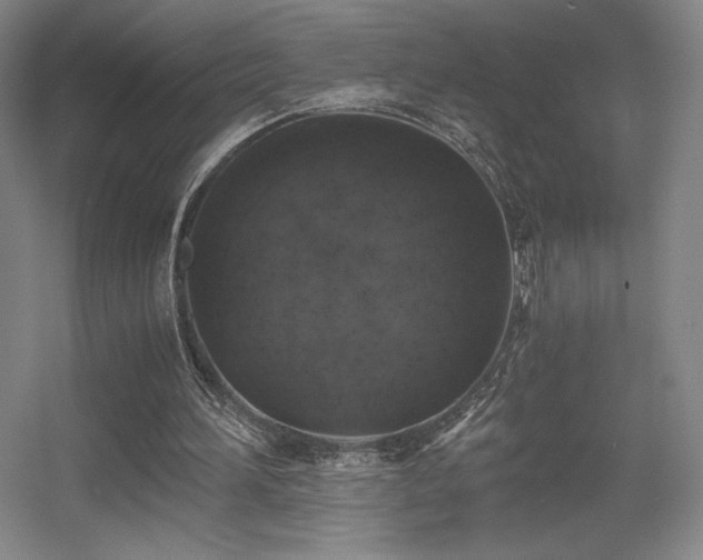 X0000056000196200508221332