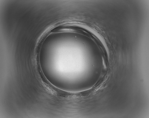 X0000056000197200508221332