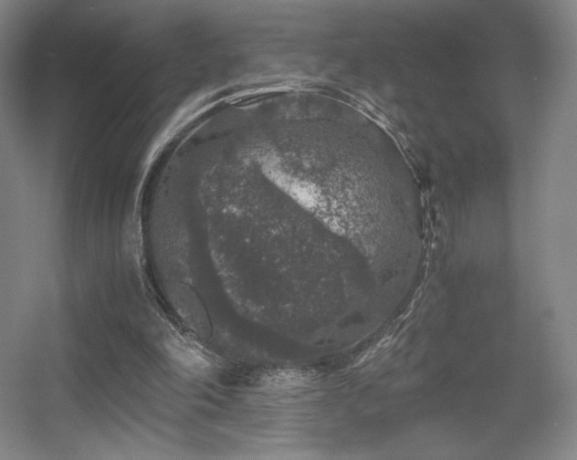 X0000056000198200508221332