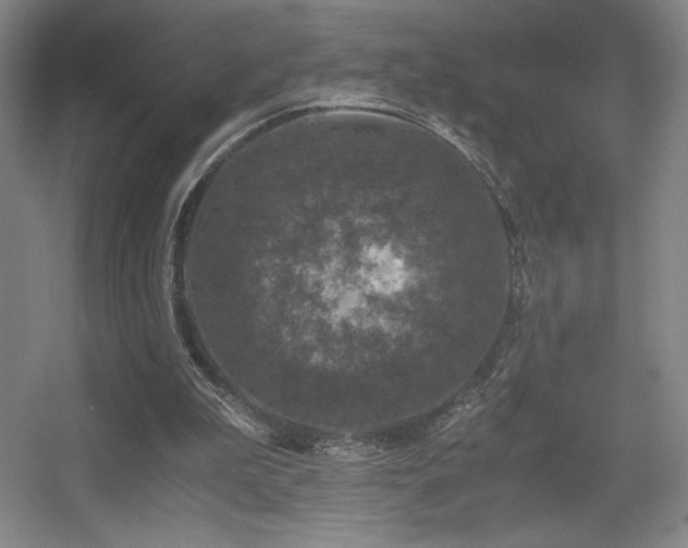 X0000056000199200508221332