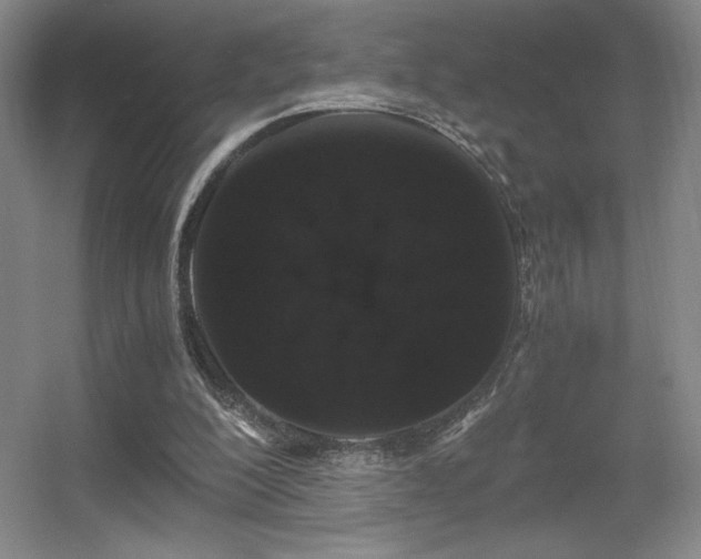 X0000056000200200508221332