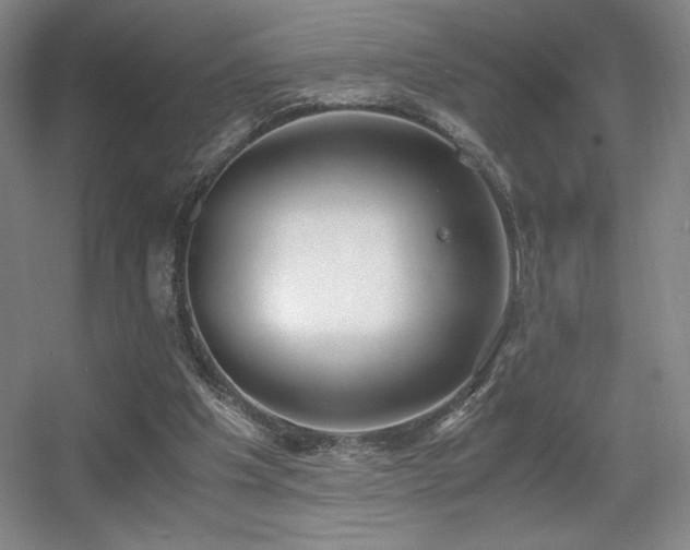 X0000056000201200508221332