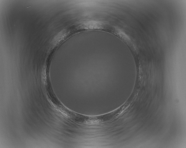 X0000056000202200508221332