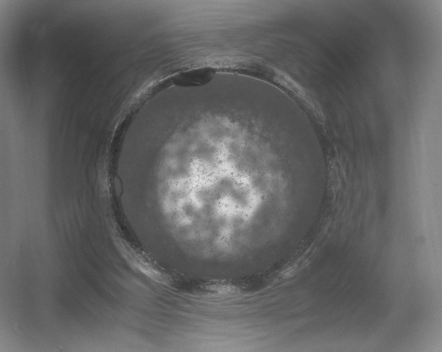 X0000056000203200508221332