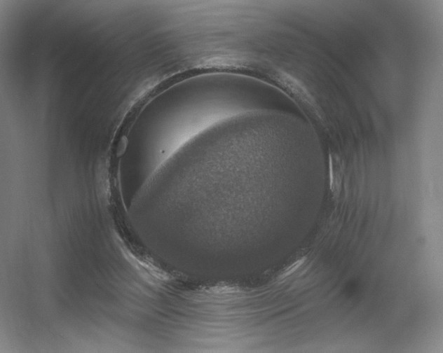 X0000056000204200508221332