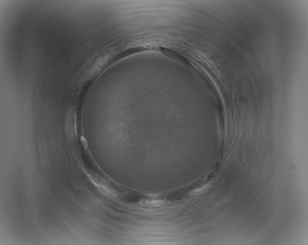 X0000056000205200508221332