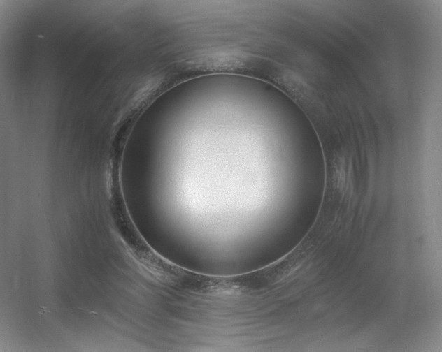 X0000056000206200508221332