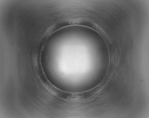 X0000056000209200508221331