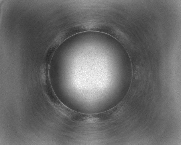 X0000056000210200508221331