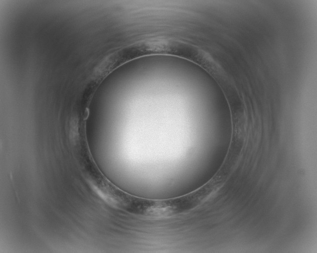 X0000056000213200508221331