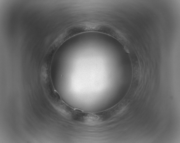 X0000056000215200508221331