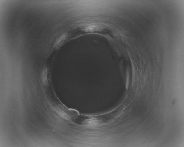 X0000056000219200508221331