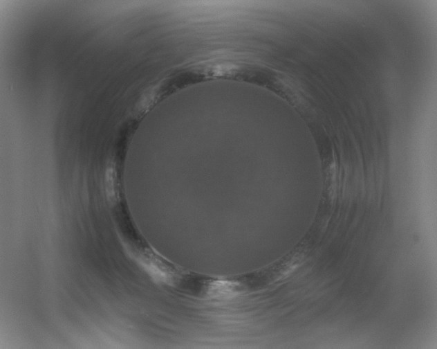 X0000056000222200508221331