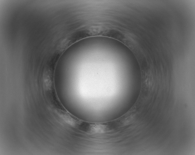 X0000056000226200508221331