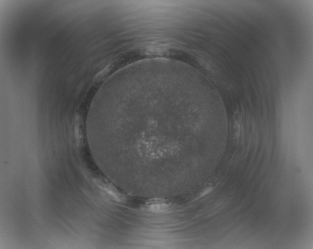 X0000056000228200508221331